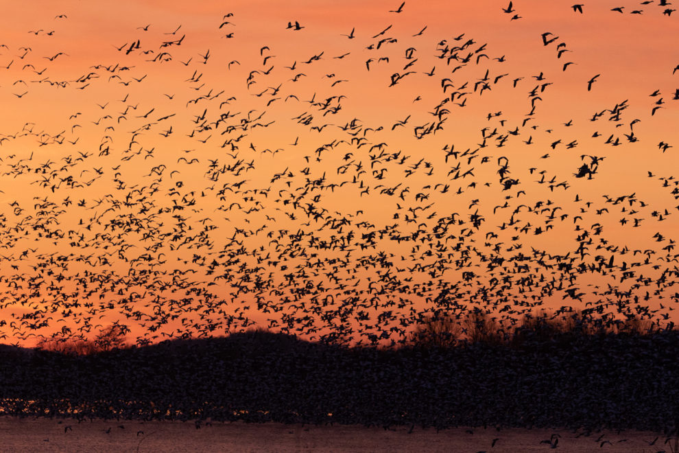 Middle Creek Wildlife Refuge