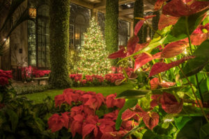 Longwood Gardens Christmas Trek, Rescheduling TBA