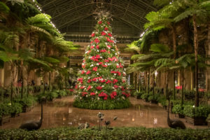 Longwood Gardens Christmas Trek, Rescheduling TBA - Image 46