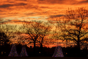 Longwood Gardens Christmas Trek, Rescheduling TBA - Image 43