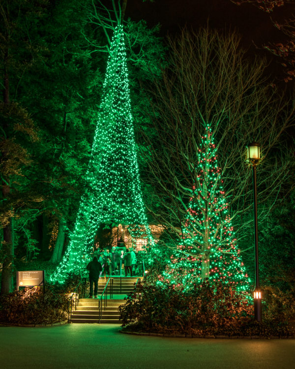 Longwood Gardens Christmas Trek, Rescheduling TBA - Image 41