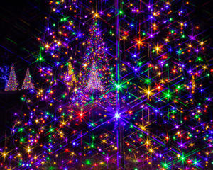 Longwood Gardens Christmas Trek, Rescheduling TBA - Image 38