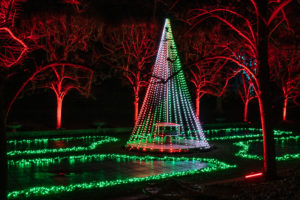 Longwood Gardens Christmas Trek, Rescheduling TBA - Image 35