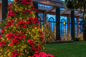 Longwood Gardens Christmas Trek, Rescheduling TBA - Image 28