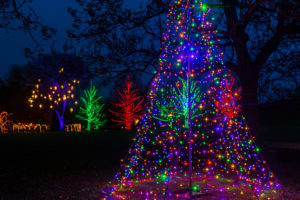 Longwood Gardens Christmas Trek, Rescheduling TBA - Image 30