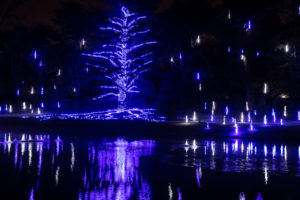 Longwood Gardens Christmas Trek, Rescheduling TBA - Image 31