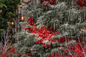 Longwood Gardens Christmas Trek, Rescheduling TBA - Image 14