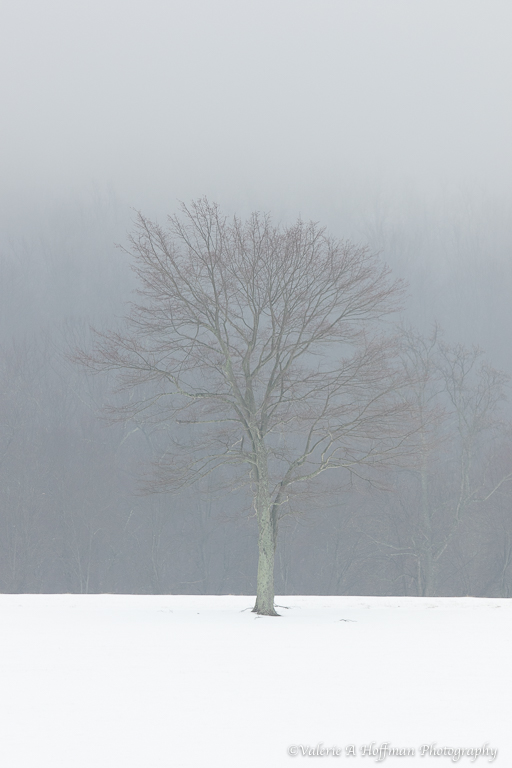 Complete Post Processing Workflow Using Lightroom - Image 14