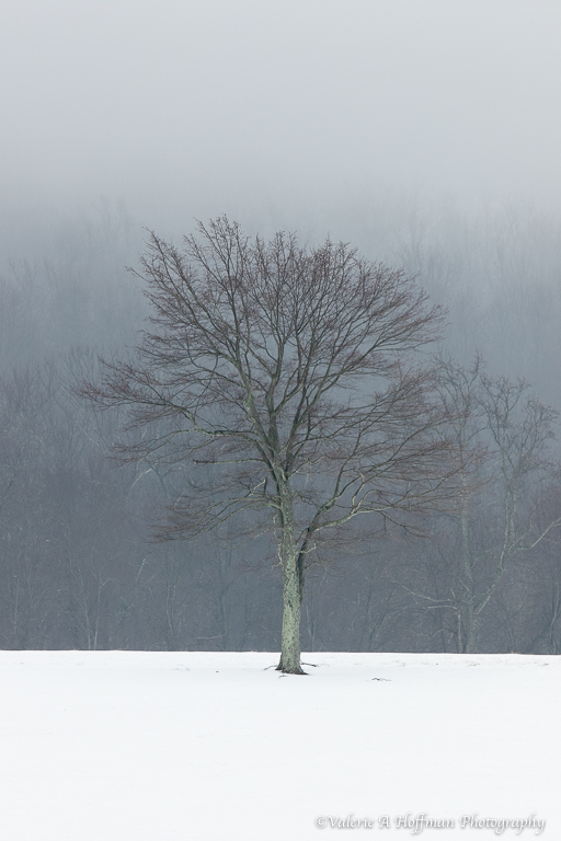 Complete Post Processing Workflow Using Lightroom - Image 15