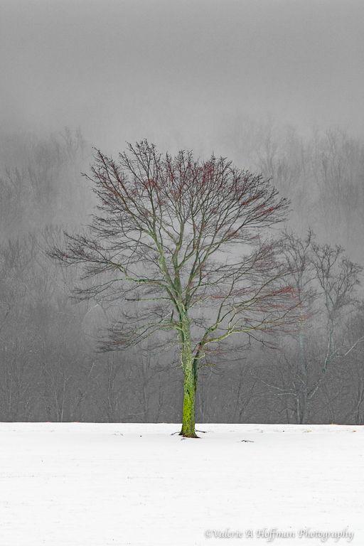 Complete Post Processing Workflow Using Lightroom - Image 16