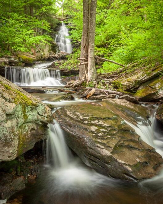 Spring Waterfall Trek at Ricketts Glen