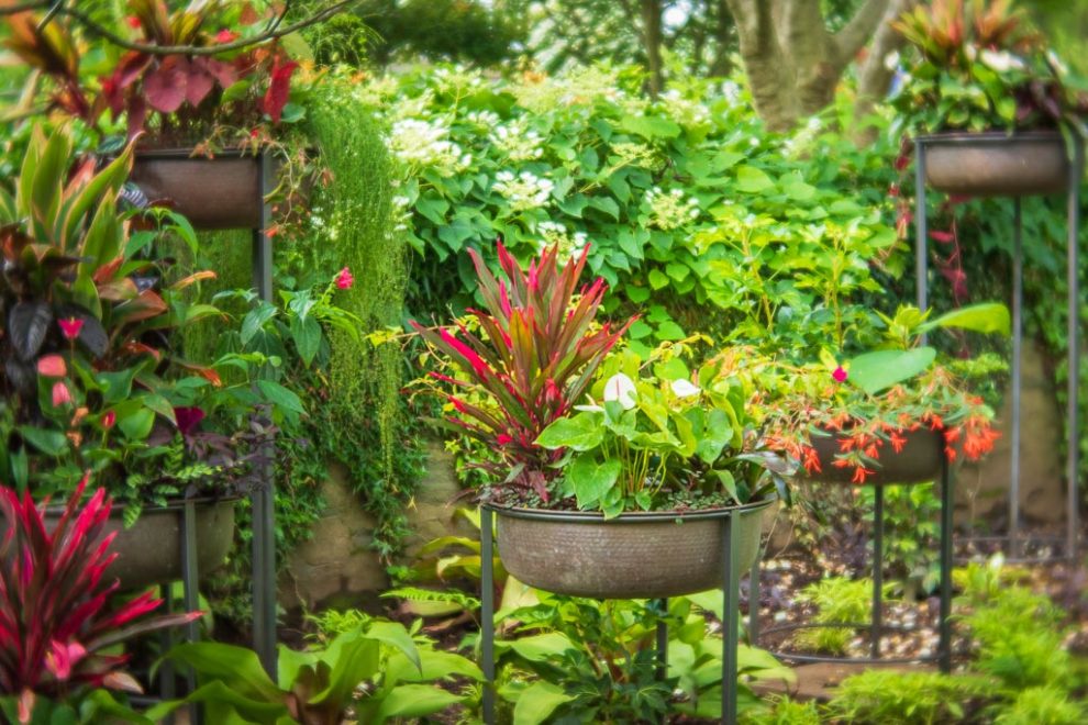 Creative Flower Photography at Chanticleer Gardens