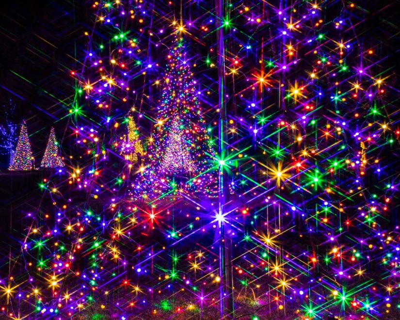 Top Tips For Photographing Holiday Lights